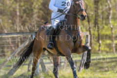 Chrystella Georg STUENKEL