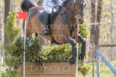 Chrystella Georg STUENKEL