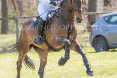 Chrystella Georg STUENKEL