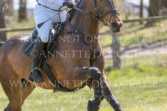 Chrystella Georg STUENKEL