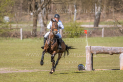 Chrystella Georg STUENKEL