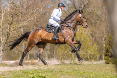 Chrystella Georg STUENKEL