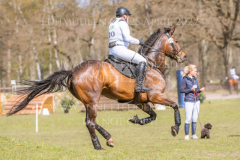 Chrystella Georg STUENKEL