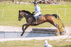 Chrystella Georg STUENKEL