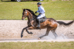 Chrystella Georg STUENKEL