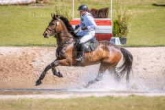 Chrystella Georg STUENKEL