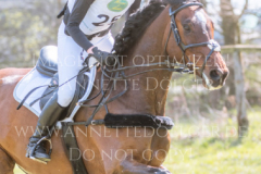 Checkpoint A 2 Rike Marie WEIDTMANN