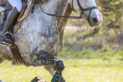 Havingagoodtime Julia MESTERN