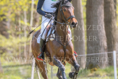 El Mum Nicolai ALDINGER