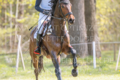 El Mum Nicolai ALDINGER