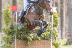 El Mum Nicolai ALDINGER