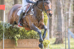 El Mum Nicolai ALDINGER