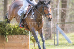 El Mum Nicolai ALDINGER