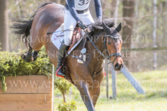 El Mum Nicolai ALDINGER