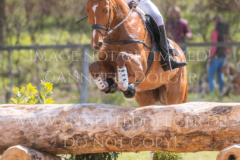 Feuertaenzer Friedrich-Bernd REHKAMP