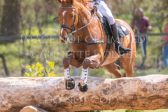 Feuertaenzer Friedrich-Bernd REHKAMP