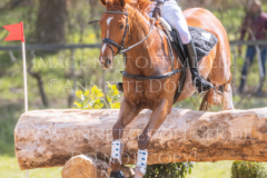 Feuertaenzer Friedrich-Bernd REHKAMP