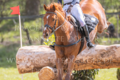 Feuertaenzer Friedrich-Bernd REHKAMP