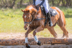 Feuertaenzer Friedrich-Bernd REHKAMP