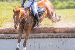 Feuertaenzer Friedrich-Bernd REHKAMP