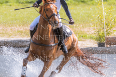 Feuertaenzer Friedrich-Bernd REHKAMP