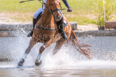 Feuertaenzer Friedrich-Bernd REHKAMP
