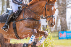 Feuertaenzer Friedrich-Bernd REHKAMP