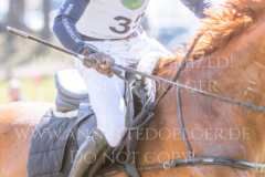 Feuertaenzer Friedrich-Bernd REHKAMP