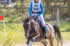 Eschnapur D Lana DIEDRICHSEN