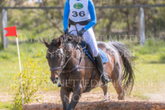 Eschnapur D Lana DIEDRICHSEN