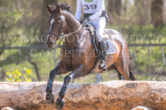 Hare Chaser Bernhard REEMTSMA