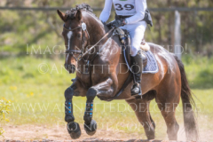 Hare Chaser Bernhard REEMTSMA