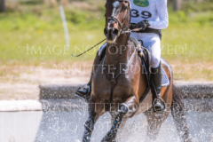 Hare Chaser Bernhard REEMTSMA