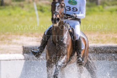 Hare Chaser Bernhard REEMTSMA
