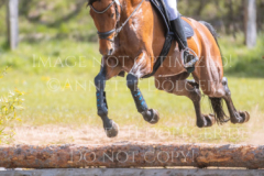 Karlsson 36 Paula FATTEICHER