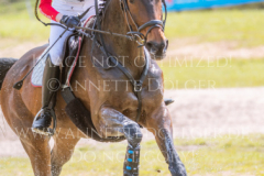 Crystal-Annabell Hannah BUSCH