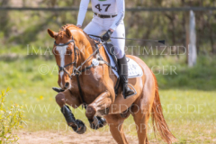 Golden Ivo Kpsc Julia SCHATZMANN