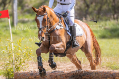 Golden Ivo Kpsc Julia SCHATZMANN