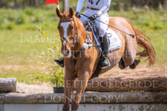 Golden Ivo Kpsc Julia SCHATZMANN