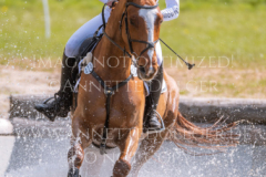 Golden Ivo Kpsc Julia SCHATZMANN