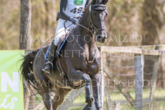 Davido Lotte PALMGREN