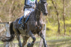 Davido Lotte PALMGREN