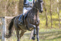 Davido Lotte PALMGREN