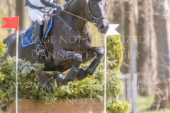 Davido Lotte PALMGREN