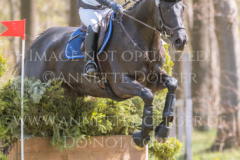 Davido Lotte PALMGREN