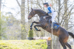 l'Aron des Bois Hedwig WIKSTROEM