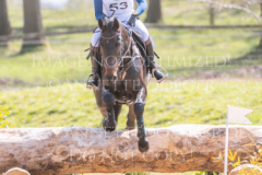 l'Aron des Bois Hedwig WIKSTROEM