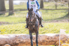 l'Aron des Bois Hedwig WIKSTROEM