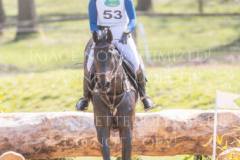 l'Aron des Bois Hedwig WIKSTROEM