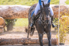 l'Aron des Bois Hedwig WIKSTROEM